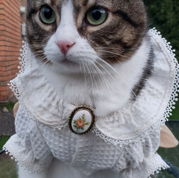 Mid-Century Cameo Floral Dress Clip - Picture 5 of 6